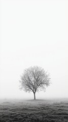 Solitary Tree in Misty Landscape with Soft Gray and White Tones