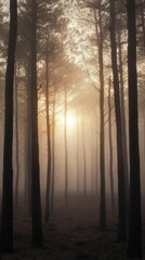 Misty Forest at Sunrise with Tall Trees and Soft Light
