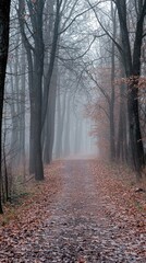 Naklejka premium Misty Forest Pathway with Leafy Ground in Autumn Season
