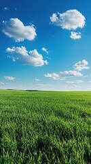 Obraz premium Expansive Green Field Under Bright Blue Sky with White Clouds
