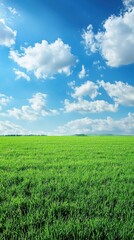 Obraz premium Lush Green Field Under Bright Blue Sky with Fluffy White Clouds