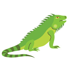 Green iguana icon clipart avatar logotype isolated illustration