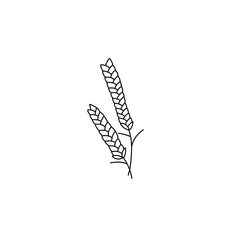 hand drawn wheat outline