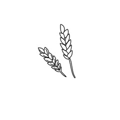 hand drawn wheat outline