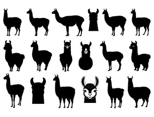 LLAMA SILHOUETTE ON WHITE BACKGROUND