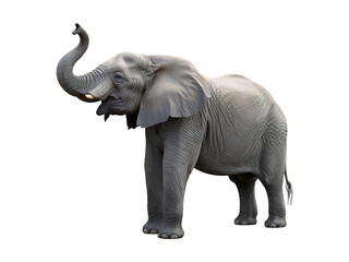 Obraz premium 3d Elephant isolated on white transparent PNG background