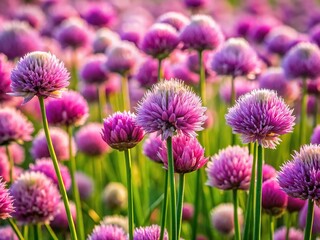 Close-up of chives, perfectly aligned with the rule of thirds grid, emphasizing their texture.