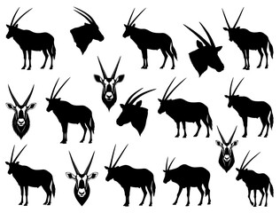 ORYX SILHOUETTE ON WHITE BACKGROUND