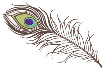 Obraz premium Photorealistic peacock feather, intricate detail, iridescent colors, purple plume, green and blue eyespot, golden brown accents, single feather, white background, high contrast, macro photography, stu