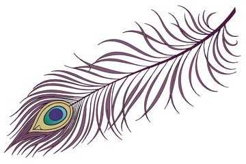 Obraz premium Photorealistic peacock feather, intricate detail, iridescent colors, purple plume, green and blue eyespot, golden brown accents, single feather, white background, high contrast, macro photography, stu