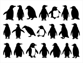 Obraz premium PENGUIN SILHOUETTE ON WHITE BACKGROUND