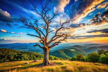 Fototapeta premium Dead trees frame Virginia's Skyline Drive's landscape.