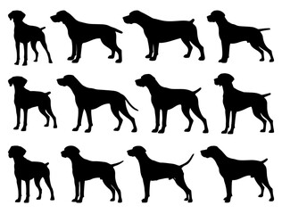 POINTER DOG SILHOUETTE ON WHITE BACKGROUND