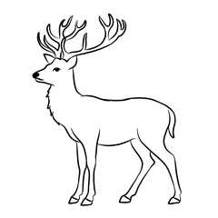 Vector of a cute deer isolated on a white background. Icon illustration. Line art.