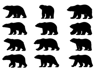 POLAR BEAR SILHOUETTE ON WHITE BACKGROUND