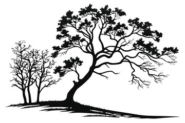 Obraz premium a set of six Silhouette tree in a white background