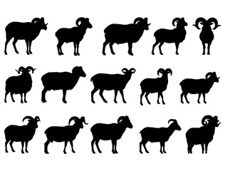RAM SILHOUETTE ON WHITE BACKGROUND
