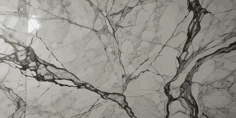 Fototapeta premium Abstract white and grey surface floor seamless marble rock texture vector background.