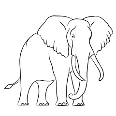 Obraz premium Cartoon elephant, elephant icon isolated on white background, vector illustration. Line art.