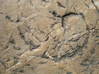 Very natural stone texture photo