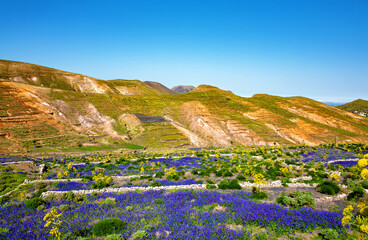 Mountain landscape, Island Lanzarote, Canary Islands, Spain, Europe.