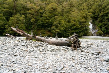 Stone Stacks on an Old Tree in the Riverbed
