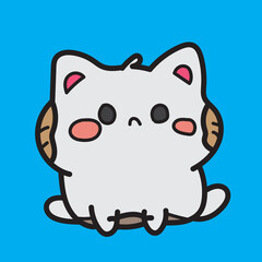 cute little white cat with blue Background