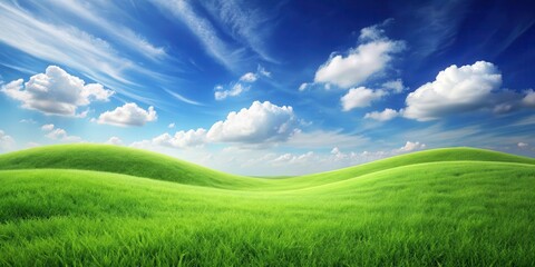 Fototapeta premium A serene green grass landscape with a gentle curve