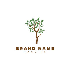 Obraz premium tree with green leaves. Logo, symbol, icon, illustration, vector, template, design