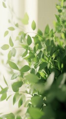 Sunlight through window illuminates lush green leaves, creating a tranquil, nature-inspired image perfect for wellness or home decor websites.