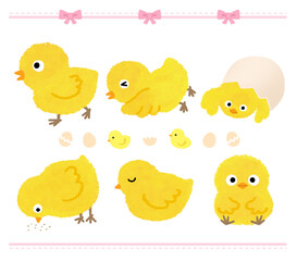 Cute various chick character illustration