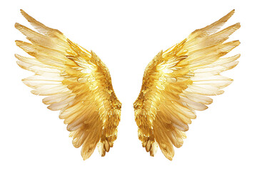 a pair of gold wings