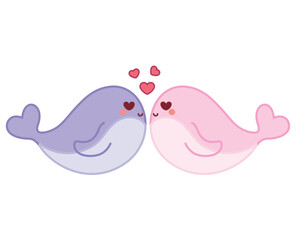 Cute whale couple
