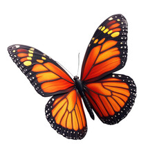 Fototapeta premium butterfly isolated on white