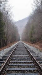 Fototapeta premium Railroad tracks vanish into misty mountain valley; autumn. Use Travel poster.