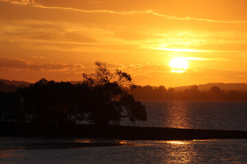 A vibrant orange sunset over a calm bay with a tree silhouetted in the foreground