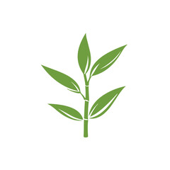 Bamboo branches and leaves Realistic bamboo sticks. colorful and black and white tree branch and stems with leaves isolated decorative closeup elements, vector and east forest trees Art & Illustration