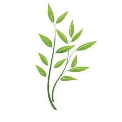 Fototapeta premium Bamboo branches and leaves Realistic bamboo sticks. colorful and black and white tree branch and stems with leaves isolated decorative closeup elements, vector and east forest trees Art & Illustration