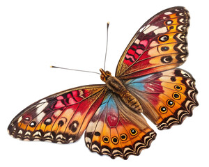 3d butterfly isolated on white transparent PNG background
