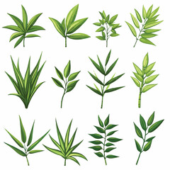 Fototapeta premium Bamboo branches and leaves Realistic bamboo sticks. colorful and black and white tree branch and stems with leaves isolated decorative closeup elements, vector and east forest trees Art & Illustration