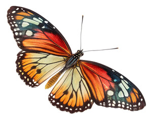Naklejka premium 3d butterfly isolated on white transparent PNG background 