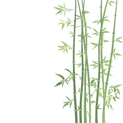 Fototapeta premium Bamboo branches and leaves Realistic bamboo sticks. colorful and black and white tree branch and stems with leaves isolated decorative closeup elements, vector and east forest trees Art & Illustration