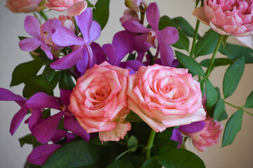 薔薇とアランダ
