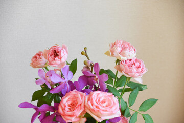 薔薇とアランダ