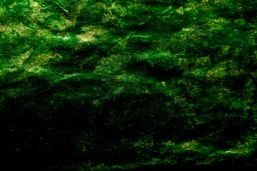 dark art background with emerald green stains