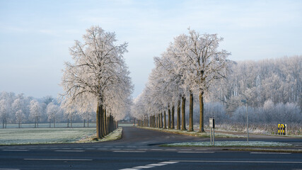 Parkway with white frozen trees in the snow