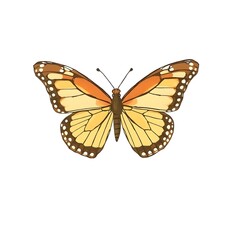 Naklejka premium A butterfly with vibrant orange and yellow wings is depicted in detail against a plain white background. The patterns on the wings include spots and bands, creating a symmetrical design.