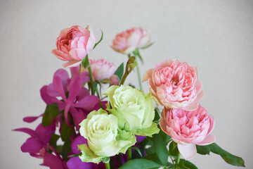 薔薇とアランダ