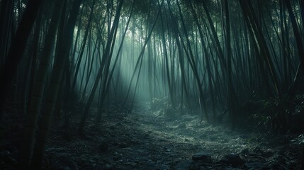 Obraz premium Mysterious bamboo forest path, misty morning, sunlight, Asian landscape, film backdrop