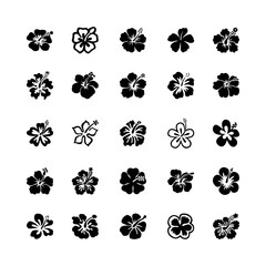 vector set hibiscus plants flower black white background